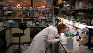 أنواع نادرة من السرطان تصيب خمس المرضى بالولايات المتحدة