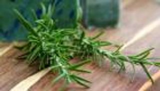 طلاب يقبلون على "الروزماري" قبل الامتحانات.. ما السر؟