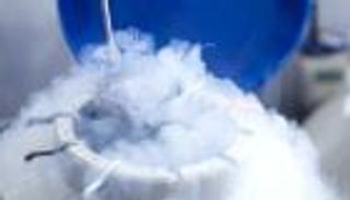 تجميد البويضات.. حيلة المرأة الغربية لتجنب إجازات الوضع