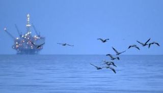 أسواق النفط تقلص خسائرها 