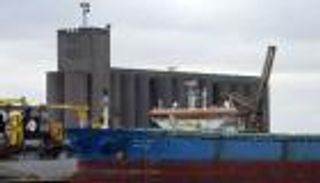 مصر تطرح مناقصة عالمية لشراء القمح