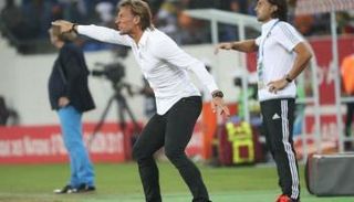 إيرفي رينار 