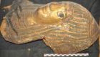 بالصور.. الكشف عن 10 مقابر أثرية بأسوان 