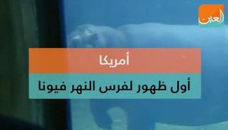 فيونا ولدت 6 أسابيع قبل الأوان