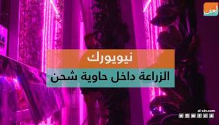 حاوية مليئة بالنباتات في نيويورك