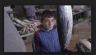 جمعية "أشكال ألوان" تطلق "أشغال فيديو٧": العائلة والحرب 