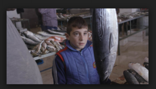 الدورة السابعة من أشغال فيديو "أشكال ألوان"