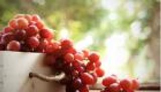 العنب يقوي الأسنان ويمنع التسوس