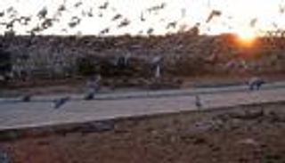 حدث في رمضان.. وفاة أم المؤمنين عائشة بنت أبي بكر