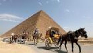 مصر: الدولار مستقر في البنوك وتراجع الطلب من المستوردين 