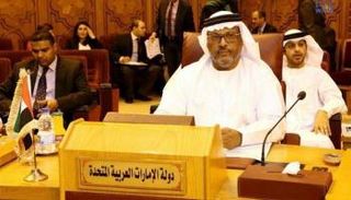 سفير الإمارات بالقاهرة