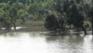 الهند: أجهزة مراقبة بالأشعة تحت الحمراء على حدود بنجلاديش