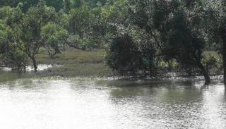 حدود الهند النهرية مع بنجلاديش