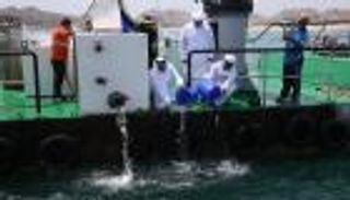 وزير البيئة الإماراتي يلقي 30 ألف سمكة بمياه المناطق المحمية بدبا الفجيرة