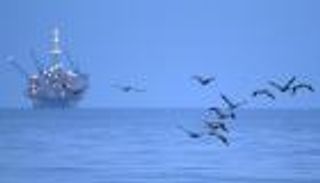 أسعار النفط تقاوم تخمة المعروض