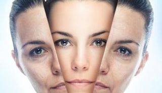 مكملات ببكتيريا المعدة قريبا لإبطاء الشيخوخة