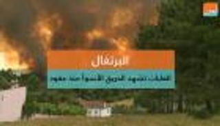 البرتغال.. الغابات تشهد الحريق الأسوأ منذ عقود