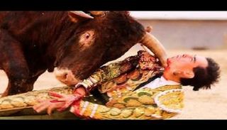 ثور يقتل مصارع ثيران داخل الحلبة