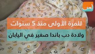 ولادة باندا صغير في اليابان