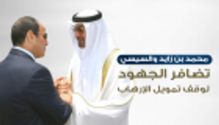 بالصور.. محمد بن زايد والسيسي: تضافر الجهود لوقف تمويل الإرهاب
