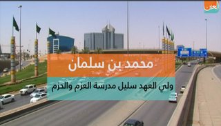 محمد بن سلمان وليًا للعهد