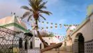 أقدم نخلة في العالم بالجزائر عمرها 6 قرون