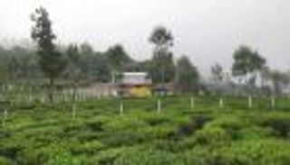 قرية هندية تغير اسمها إلى "ترامب" لجمع المال