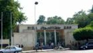 مصر.. السيطرة على حريق بحديقة حيوانات الجيزة