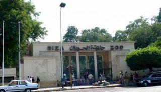 حديقة حيوانات الجيزة - أرشيفية