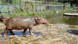 حديقة الحيوان بالجيزة.. قبلة المصريين في الأعياد