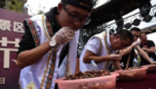 بالصور .. مسابقة لأكل الحشرات والجائزة سبيكة ذهب