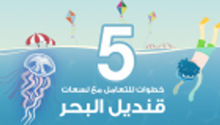 إنفوجراف.. 5 خطوات للتعامل مع لسعات قنديل البحر 