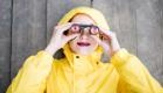 مراقبة الطيور تحسن الصحة العقلية وتخفف التوتر