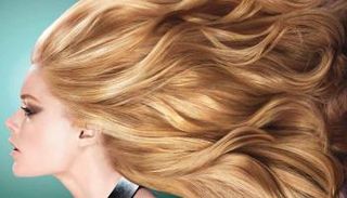 هل تعانين من جفاف وتقصف الشعر؟