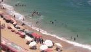 قنديل البحر يلسع فنانة مصرية شابة 