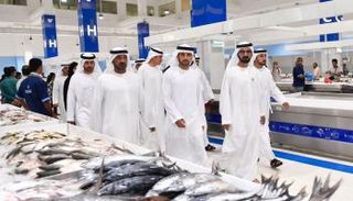 محمد بن راشد يتفقد 