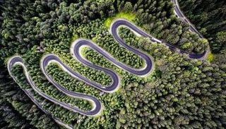 إحدى الصور الفائزة