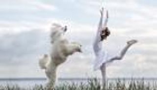 بالصور.. "الباليه والكلاب" تقود طفلة إلى الشهرة