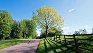 التنزه في الطبيعة يجنب الإصابة بالسرطان (تعبيرية)