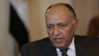 شكري لموجيريني: عازمون على تغيير سياسات قطر