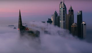  صورة من فيلم أويكين