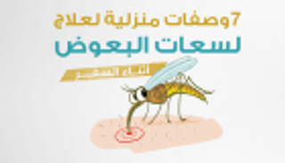 إنفوجراف.. ٧ وصفات منزلية لعلاج لسعات البعوض