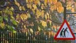 تطبيق يساعد كبار السن على الـ"تحايل" على إشارة المرور