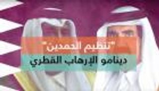 مصر: موقفنا واضح ضد "تنظيم الحمدين" القطري