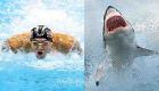 مايكل فيلبس ينافس أسماك القرش