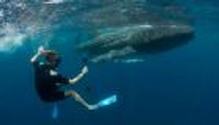 بالفيديو.. راموس "قرش البحر"