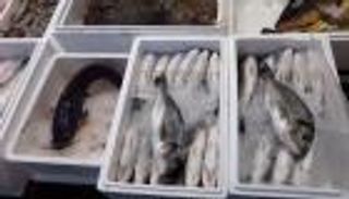 الحرمان من السمك يعرض ثلثي البريطانيين للخطر