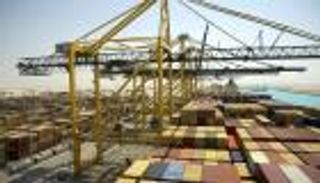 إحباط تهريب 67 كيلوجراما من الكوكايين داخل دجاج مجمّد بالسعودية