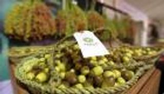 مهرجان ليوا للرطب 2017 يطلق مبادرة " الخير في وطن الخير "