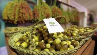 رسالة المهرجان تتمثل في مواصلة مسيرة العطاء والخير